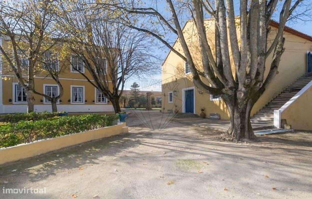 Quinta T21 para venda-36