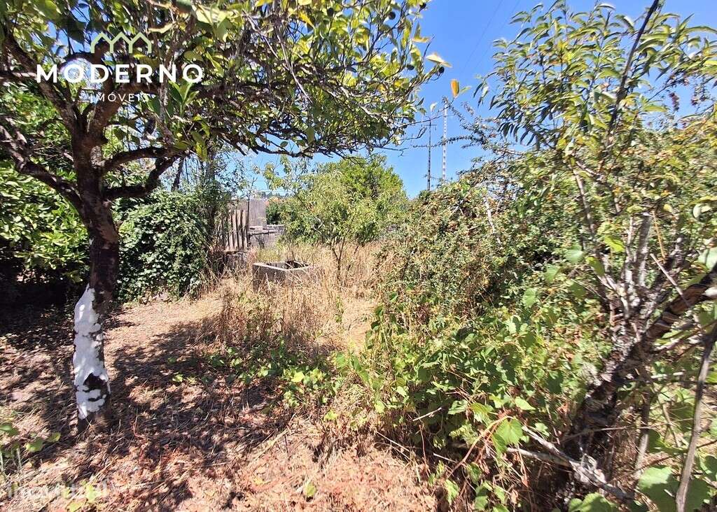 Moradia para recuperar – Guia, Pombal-38