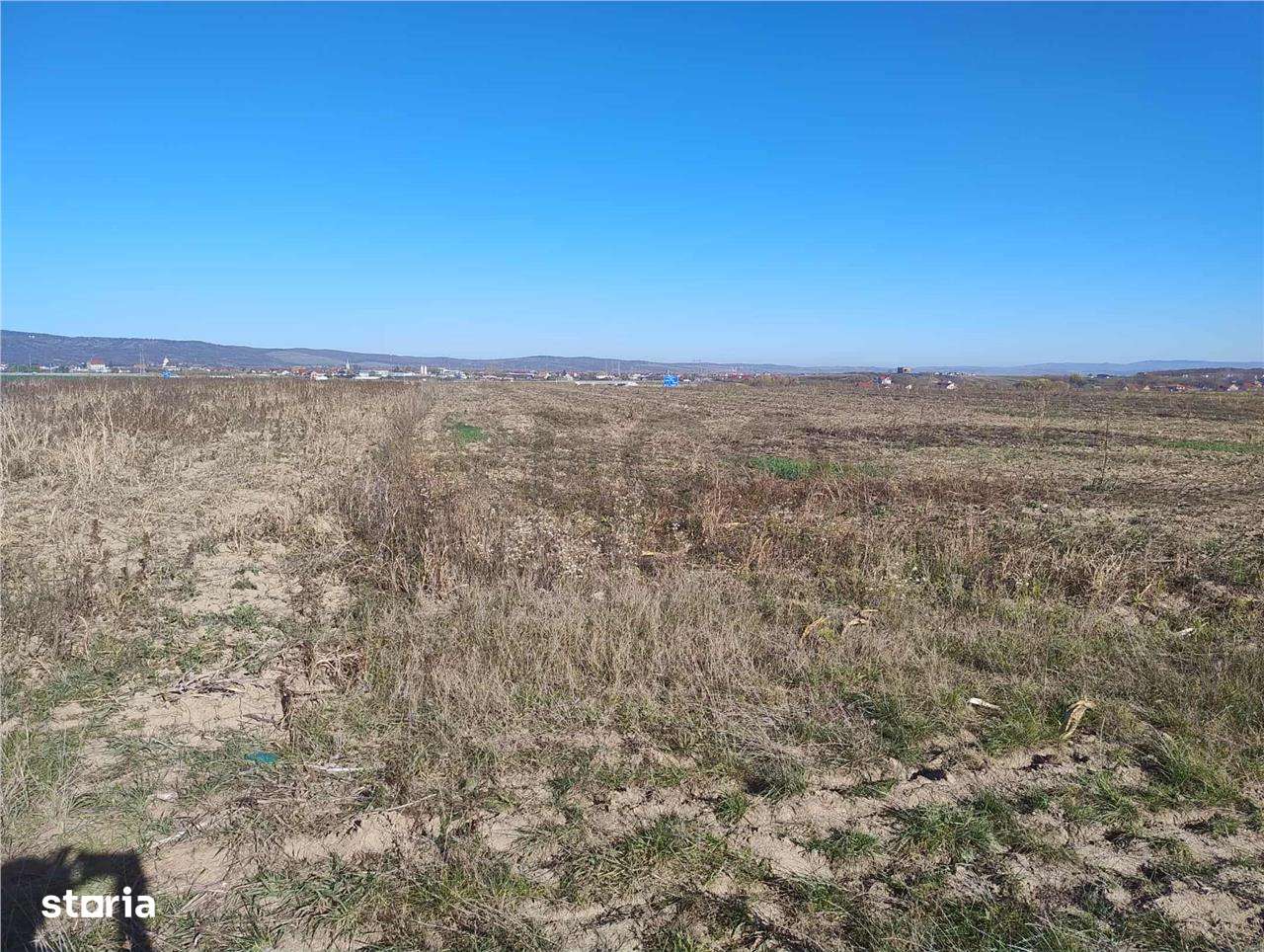 RECO Teren extravilan, Bors - Imagine principală: 1/2