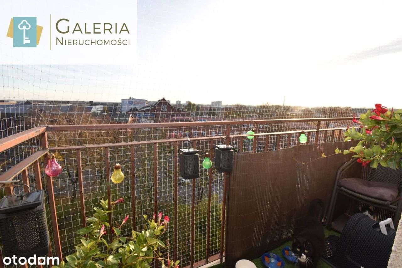 Dwupokojowe mieszkanie po remoncie z balkonem - Pełny obrazek: 4/11