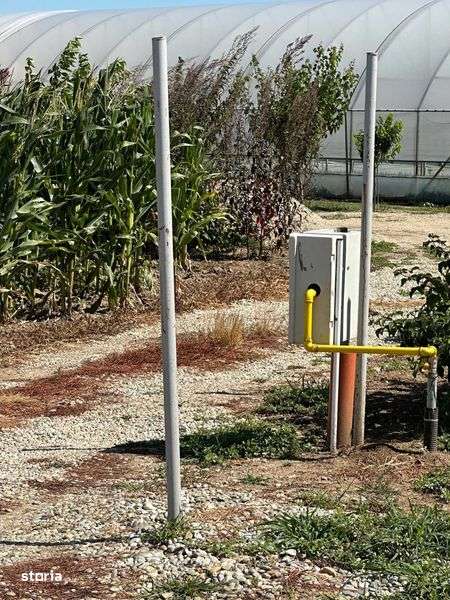 teren intravilan 818mp Copaceni Ilfov casa hala solar depozit - Imagine principală: 4/5