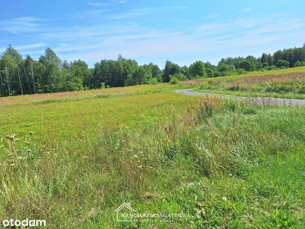 Działki w miejscowości Własna gmina Starcza-4