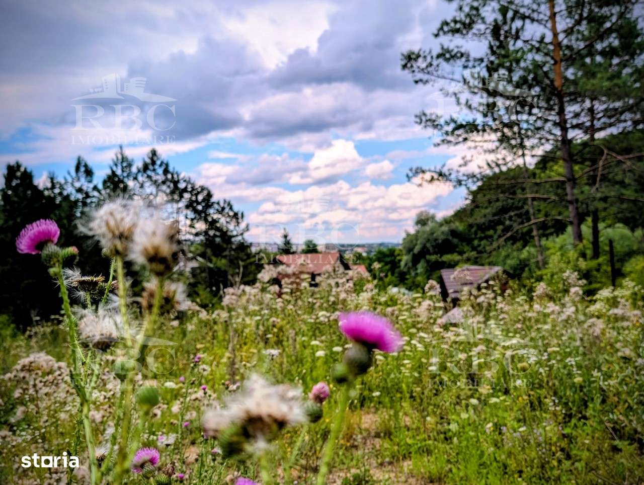 Teren intravilan pentru constructie casa in Cheile Baciului - Imagine principală: 1/8