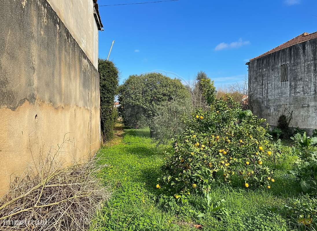 Terreno  para venda - Grande imagem: 4/8