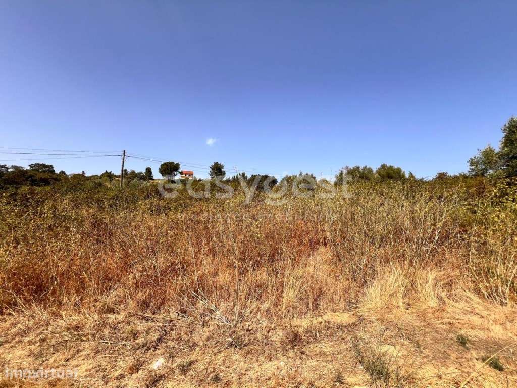 Terreno com 21030m2 situado em Carregueiros - Tomar - Grande imagem: 4/17