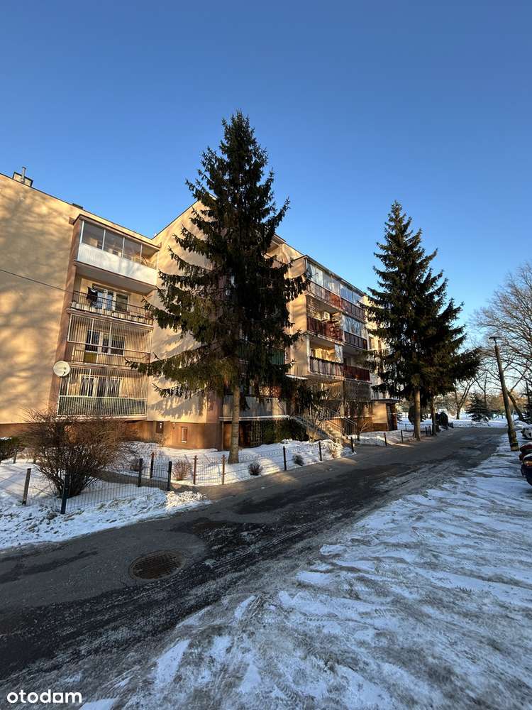 Mieszkanie 2 pokoje Osiedle Młodych 50 m2-16