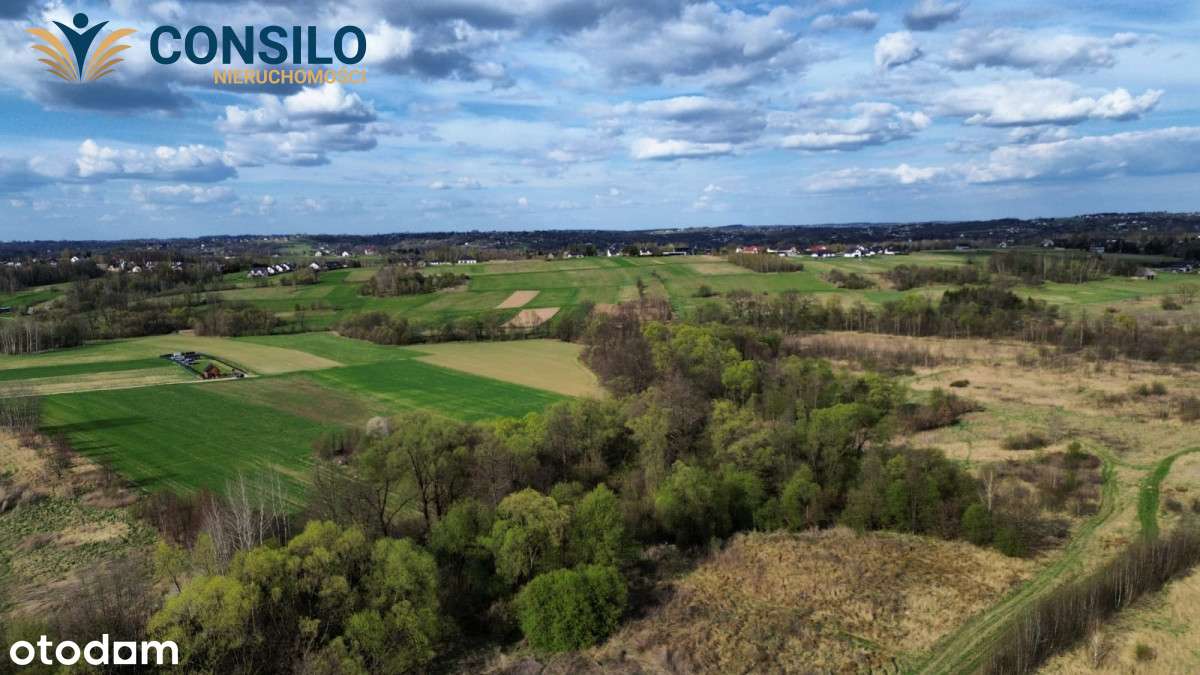 Na sprzedaż  działka inwestycyjna 1,28 ha Jawornik - Pełny obrazek: 5/6