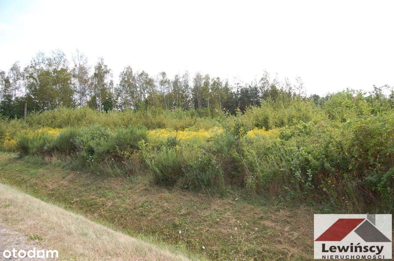 Piotrkowice - Gmina - Zabia Wola-1