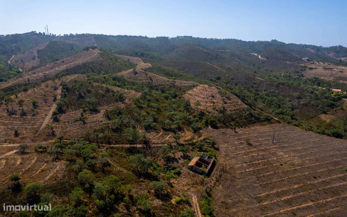 Herdade Moinho Corisco-13