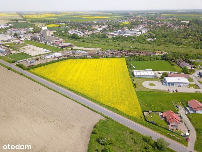 Syndyk sprzeda działkę w Grodkowie