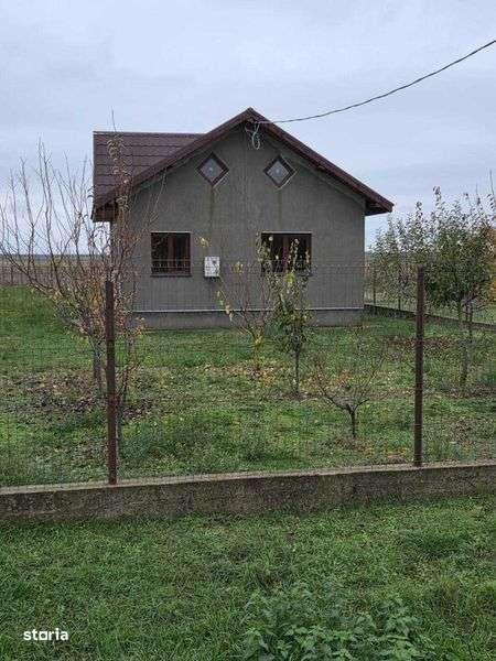 Casa de vanzare in com.Armasesti - Imagine principală: 4/4