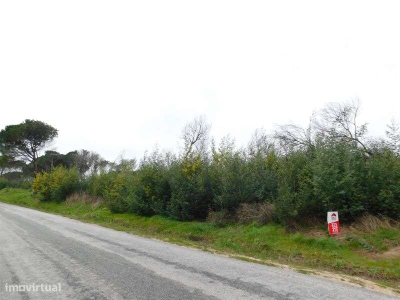 Terreno / Gouveia, Rio Torto - Grande imagem: 2/8