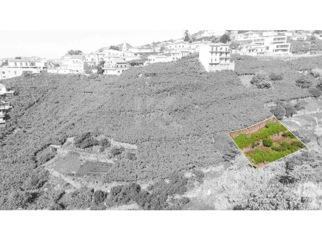 Terreno Estreito de Câmara de Lobos - Grande imagem: 3/9