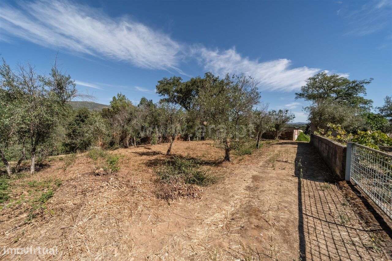 Terreno / Covilhã, Dominguiso - Grande imagem: 2/10