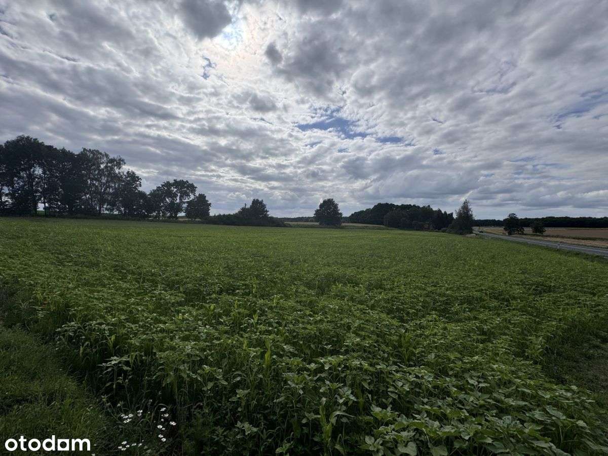 Okolica Stęszewa - Wielkawieś - WZ-3