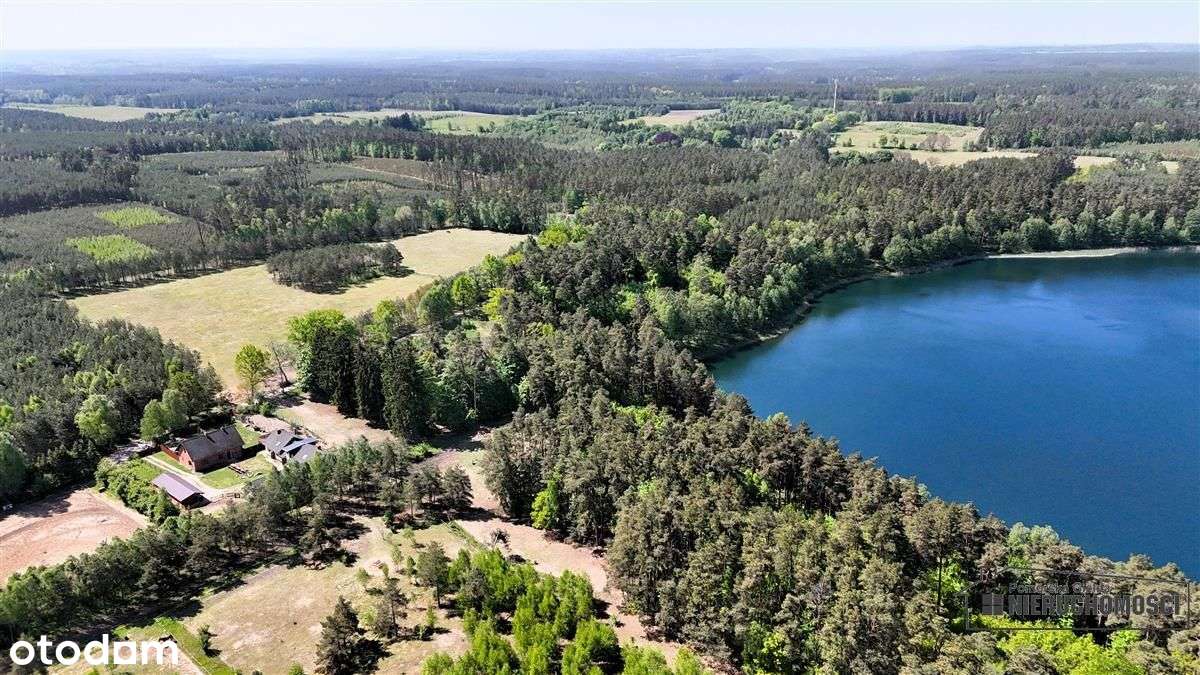 Okole - Grunt siedliskowy w otoczeniu lasu ok. 100-7