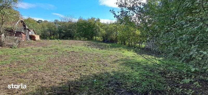 Teren Gradina Itravilan Loc de Casa  sat  Badeni 1060 mp - Imagine principală: 4/5