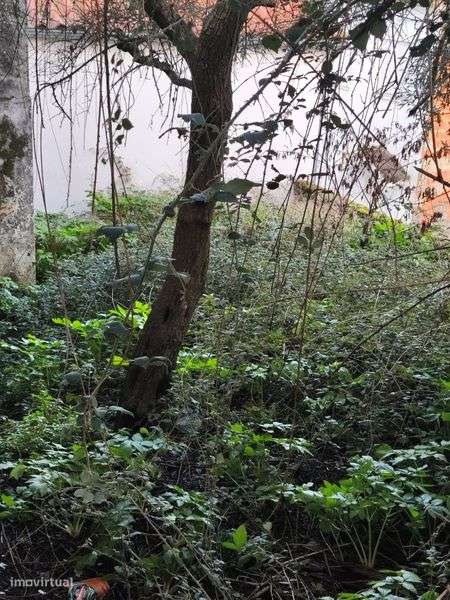 Casa de habitação no Carrascal - Grande imagem: 5/8