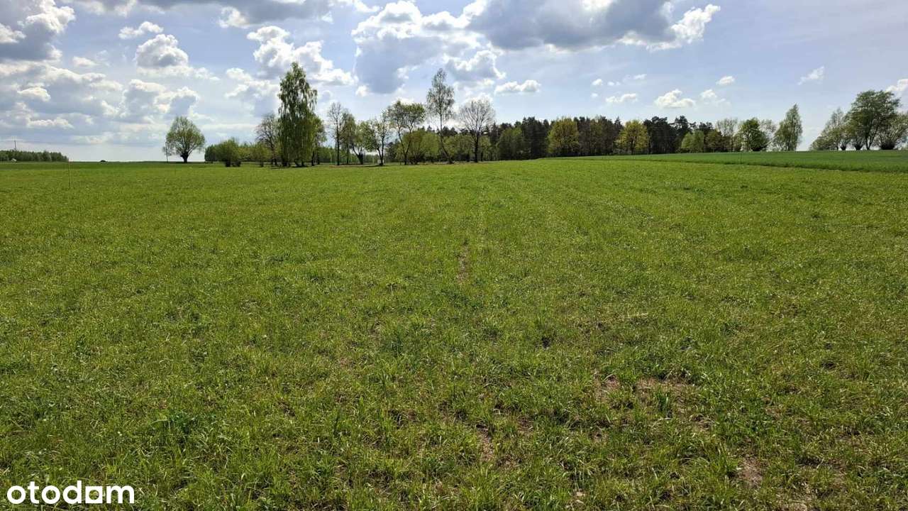 Sprzedam działkę - Pełny obrazek: 4/7