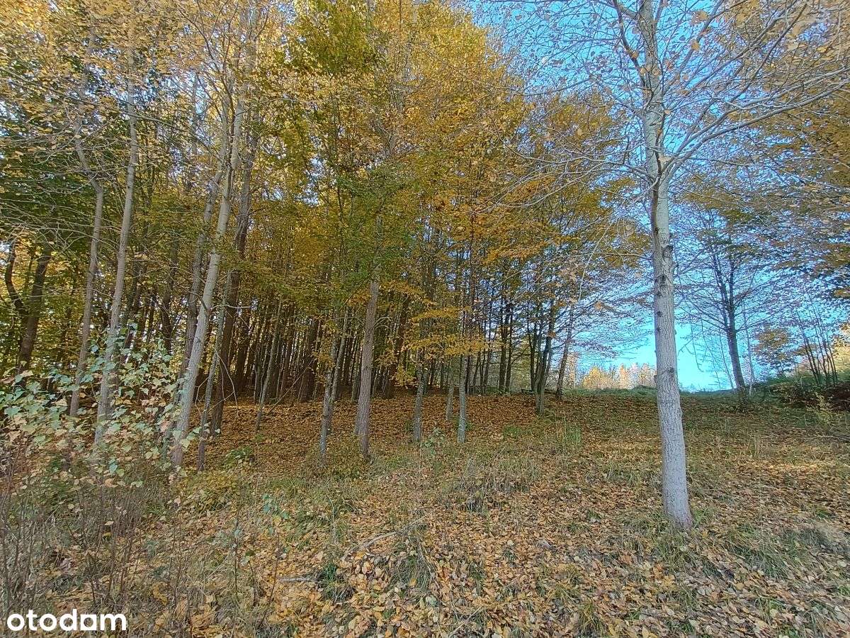 Cisza i spokój I Ze stawem - Pełny obrazek: 5/11