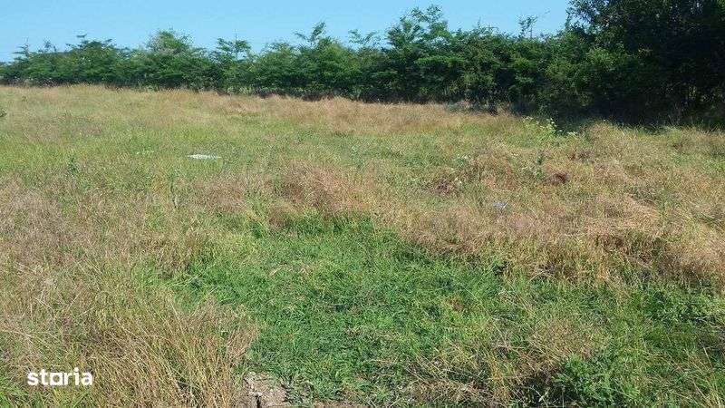 Vand teren 1.100 mp Eforie Sud - Imagine principală: 5/5