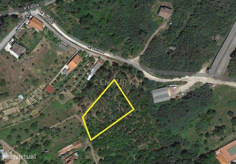 Terreno Rustico - Grande imagem: 3/6