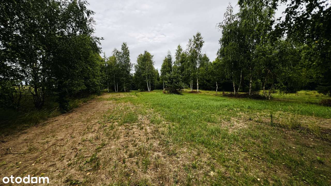 Malownicza, zadrzewiona działka nad Wkrą . OKAZJA-7