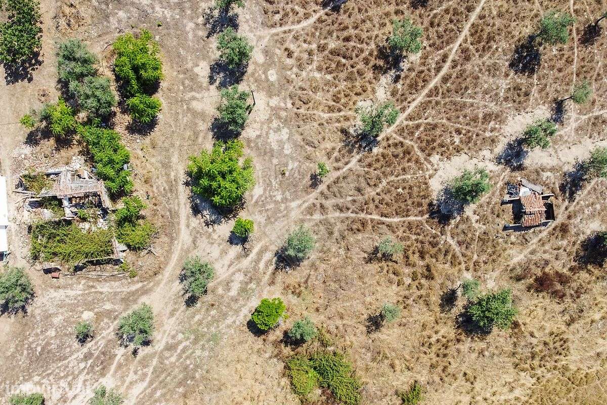 Quinta T5 para venda - Grande imagem: 4/10