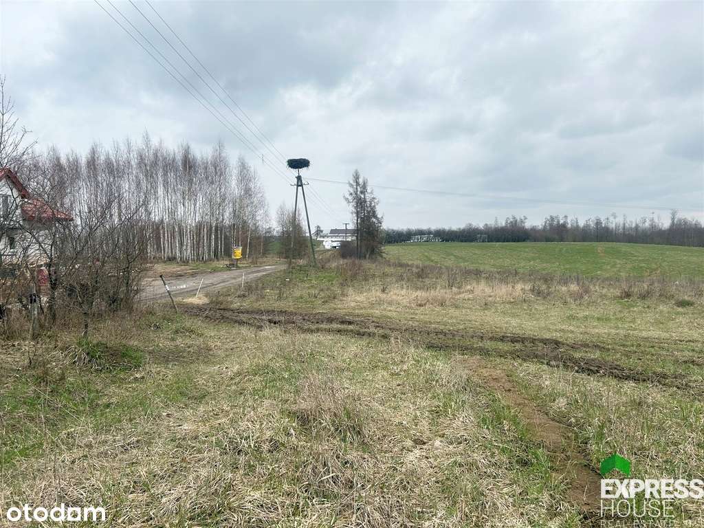 Kałęczyny - działki do zabudowy - Pełny obrazek: 4/5