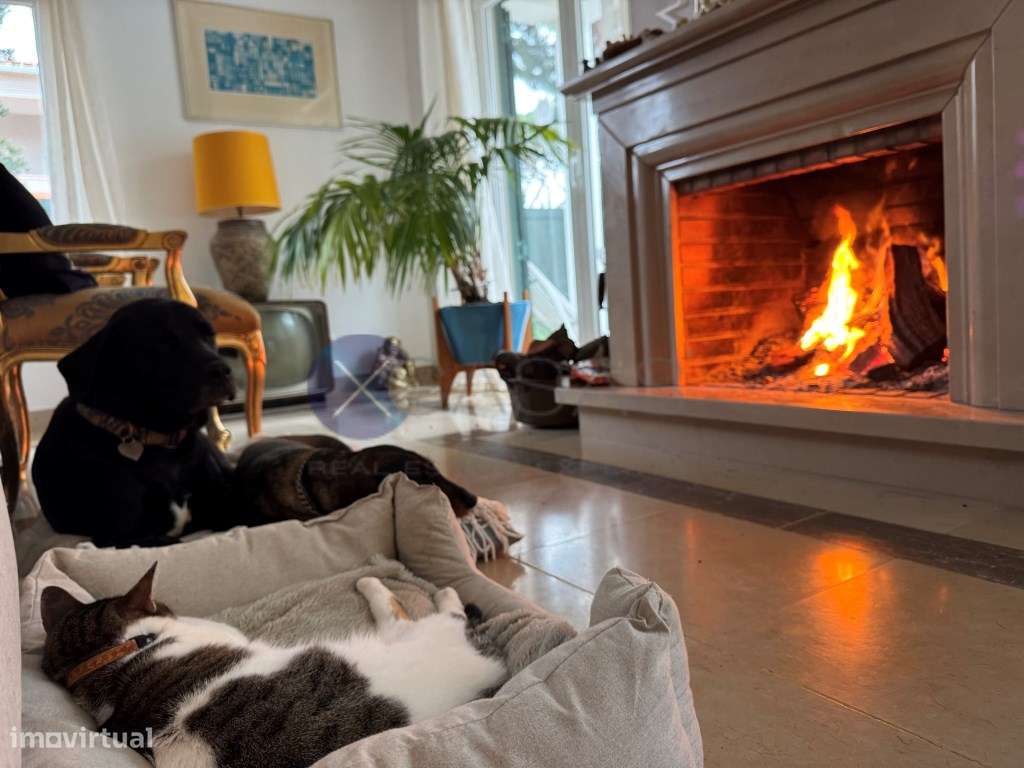 single-family residential building, with a T6 layout, comprising gr...-11