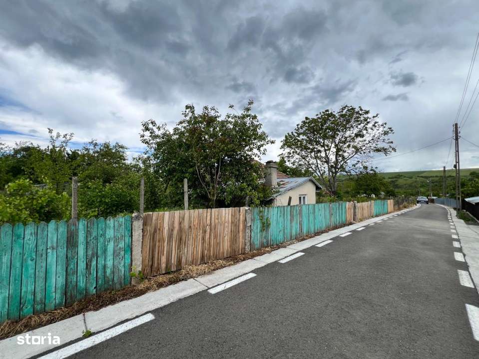 Casa + teren 4430 mp, vie si pomi fructiferi, 22 km de Tecuci - Imagine principală: 3/19