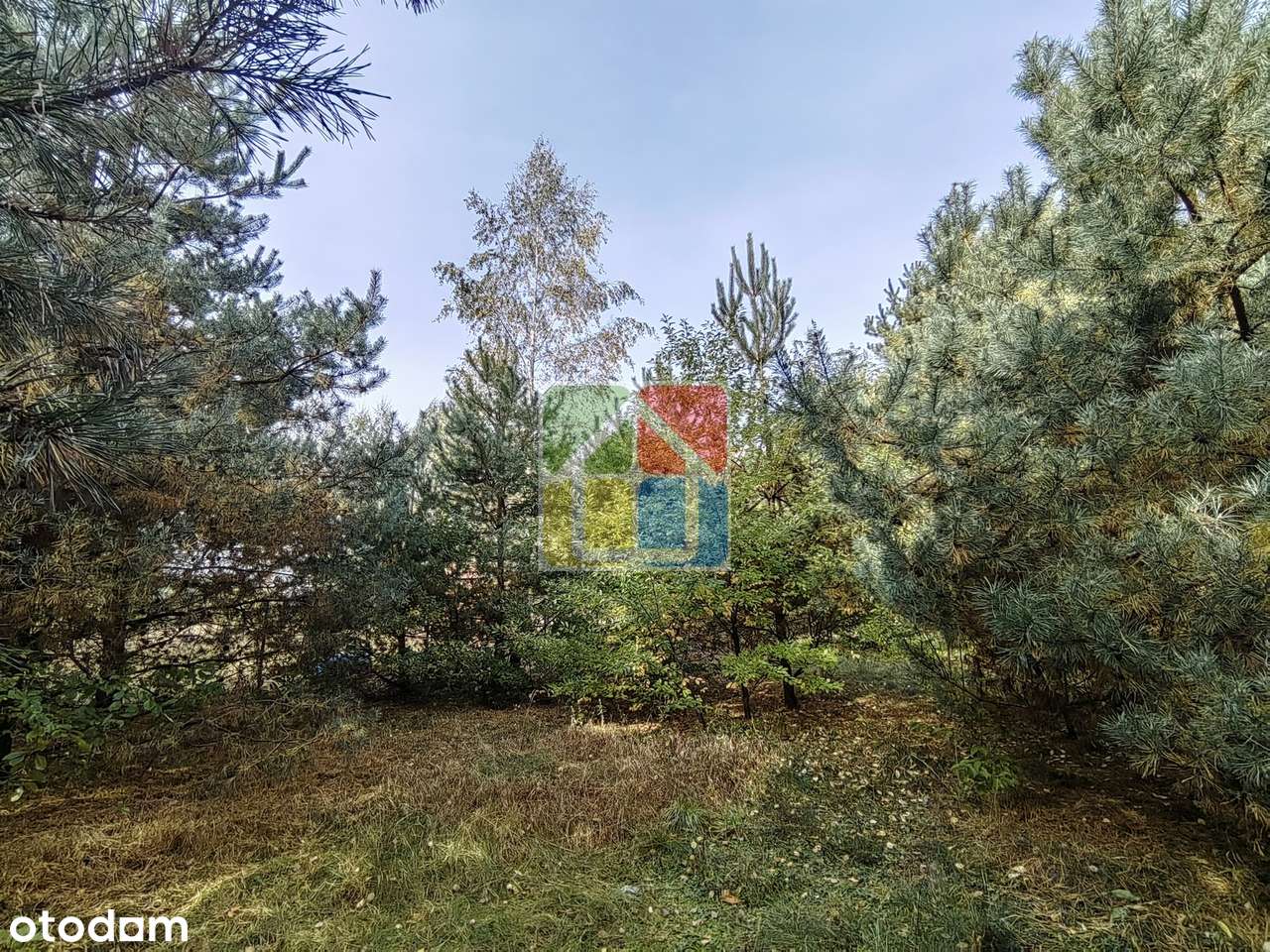 Duża działka budowlana w okolicy jeziora Lucieńskiego