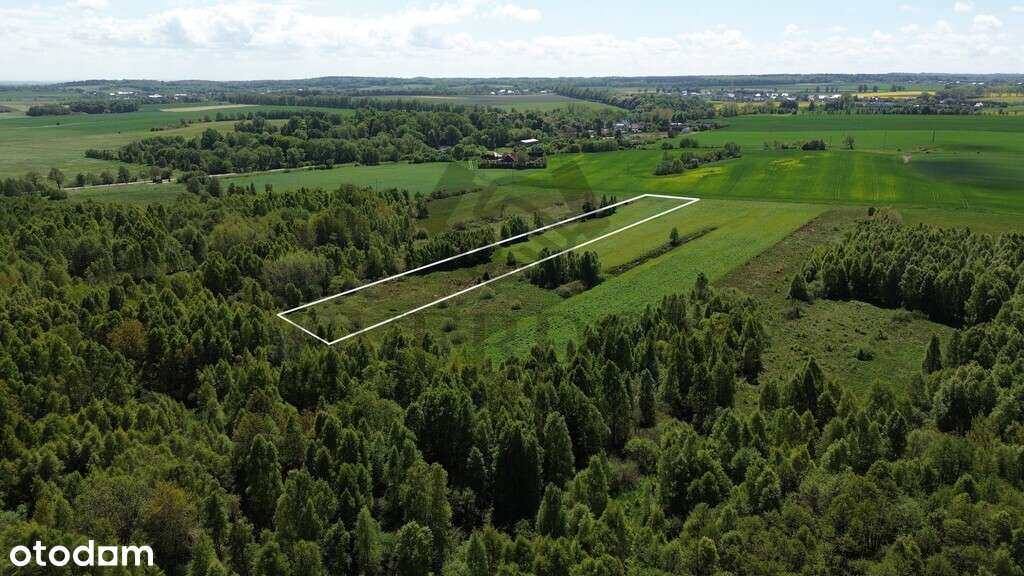 Działka rolna Starzyński Dwór 10 700 m2 - Pełny obrazek: 5/10