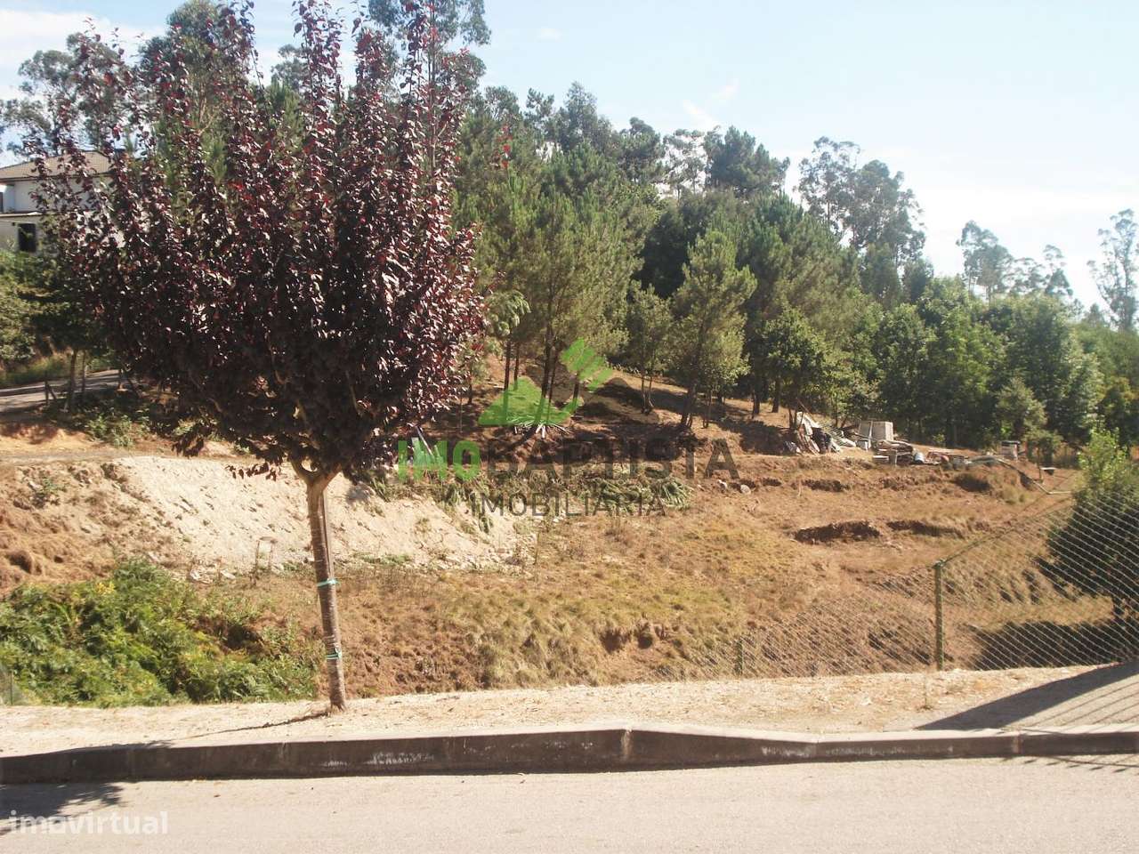 Terreno com 5800 m2 em Pigeiros - Grande imagem: 3/11