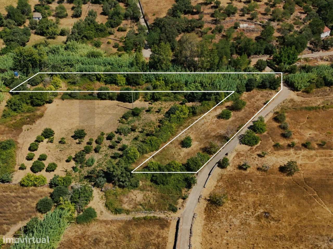 Terreno Rustico 2680m2 | Pontes | Salir | Eletricidade e água a porta - Grande imagem: 4/15