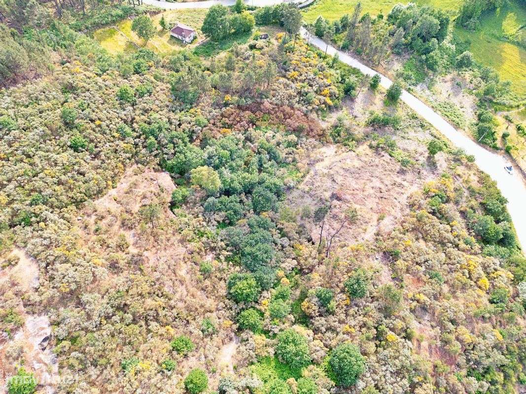 Terreno  para venda - Grande imagem: 5/7