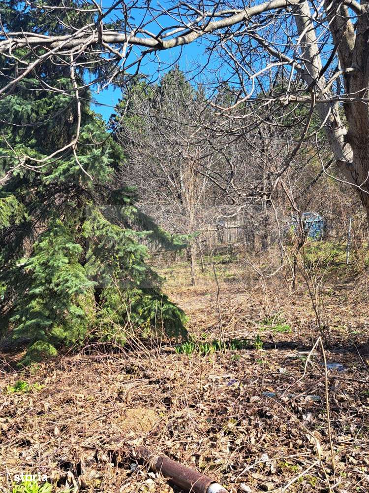 Casa batraneasca Bucium - 27000 - Imagine principală: 3/9