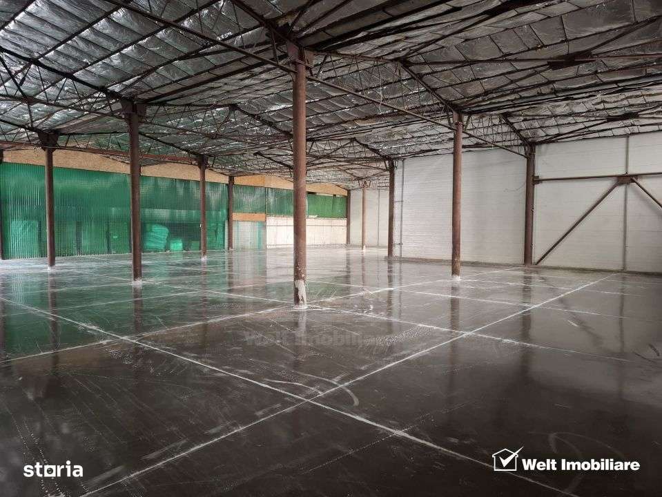 Spatiu depozitare sau productie 570 mp, renovat, zona Lidl Baciu - Imagine principală: 5/6