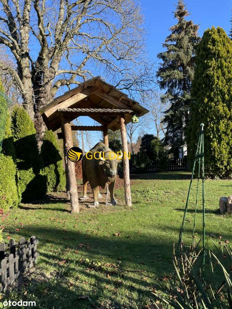 Działka 11 600m2!Dom z dużym ogrodem! - Pełny obrazek: 5/10