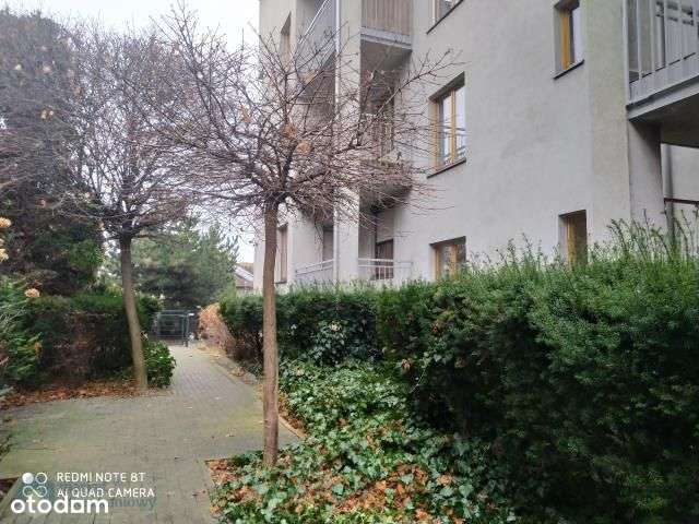 53m , 2 pokoje w budynku z cegły z 2004 roku-7