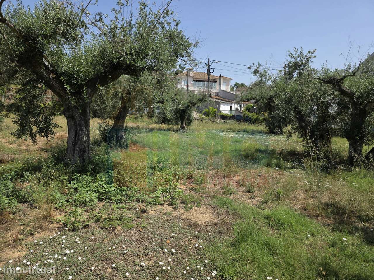 Terreno c/ Viabilidade de Construção – Telhado - Fundão - Grande imagem: 3/22