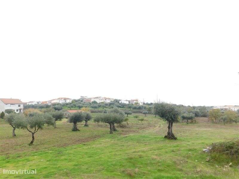 Quinta T1 / Fundão, Orca - Grande imagem: 3/19