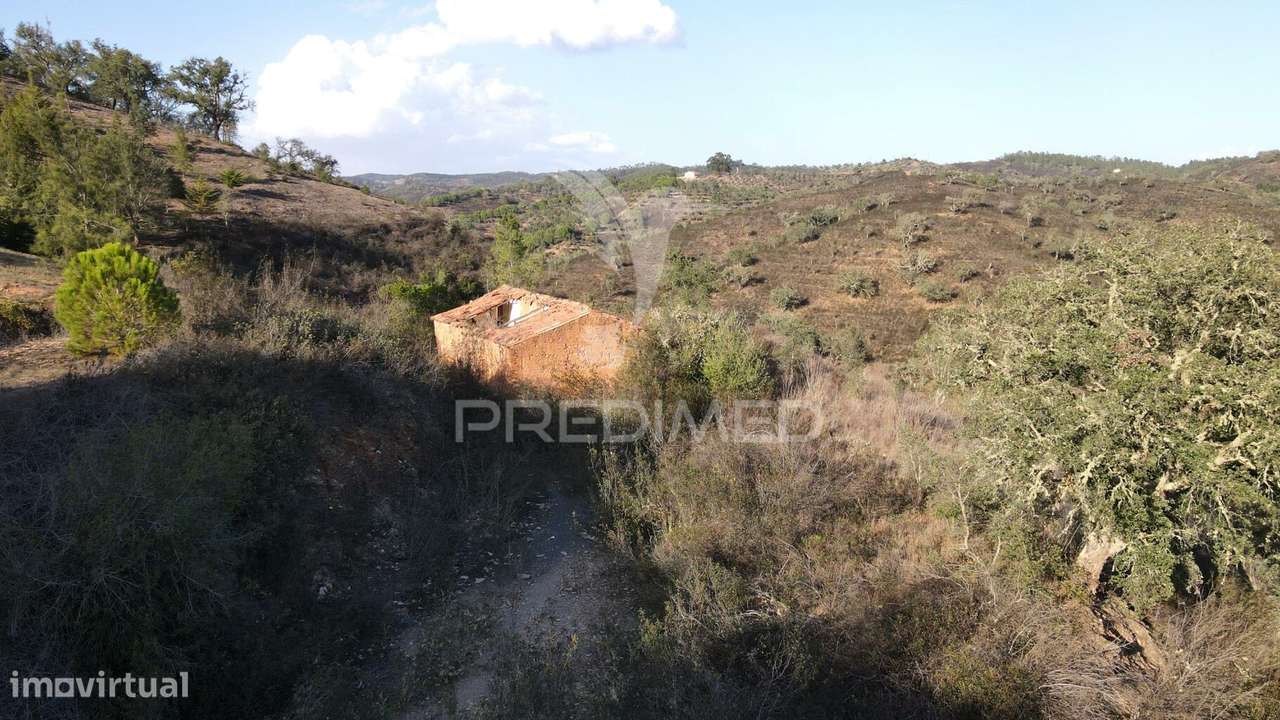 Quinta com 1,0250 ha e uma ruína em Luzianes Gare - Grande imagem: 2/19