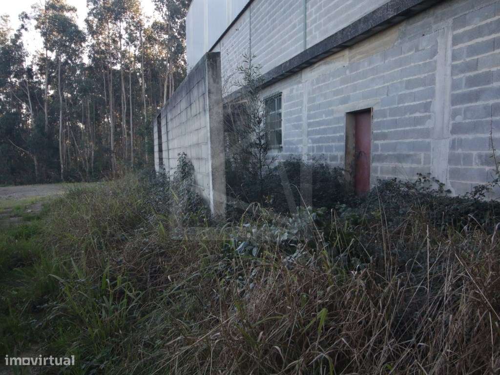 Armazém em Sever do Vouga - Grande imagem: 4/16