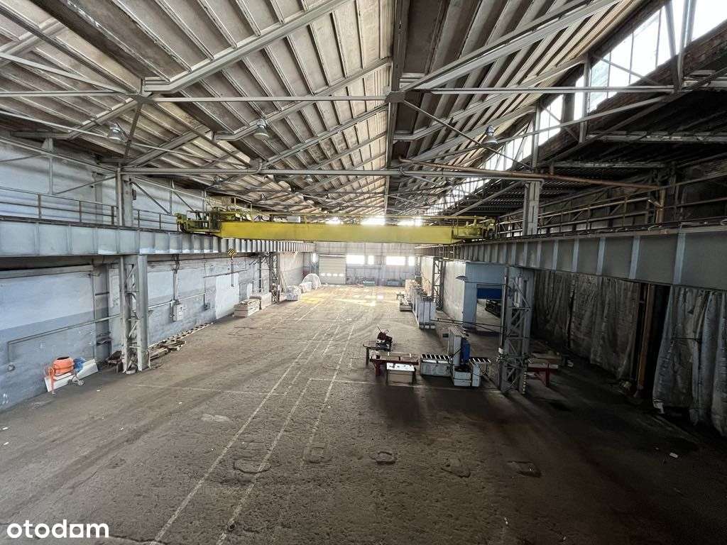 Hala produkcyjno/magazynowa z suwnicą - Pełny obrazek: 5/9