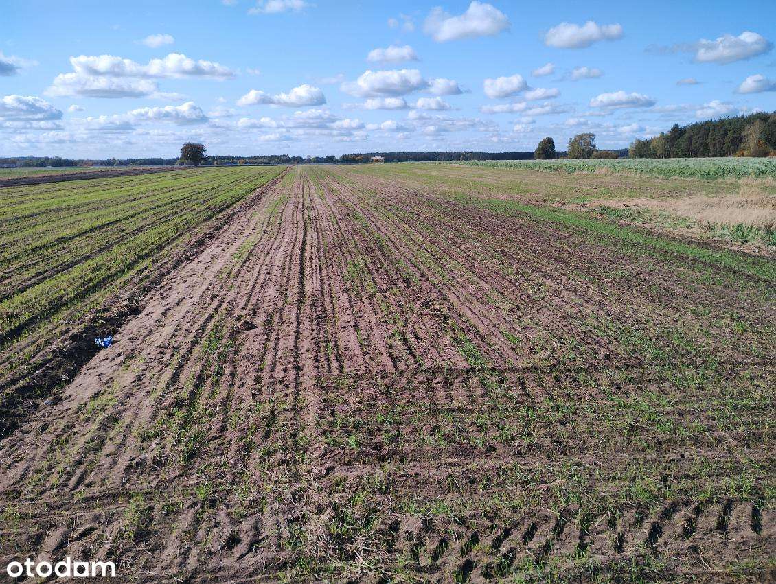 Działka rolna Stare Iganie 5406 m2 - Pełny obrazek: 1/7