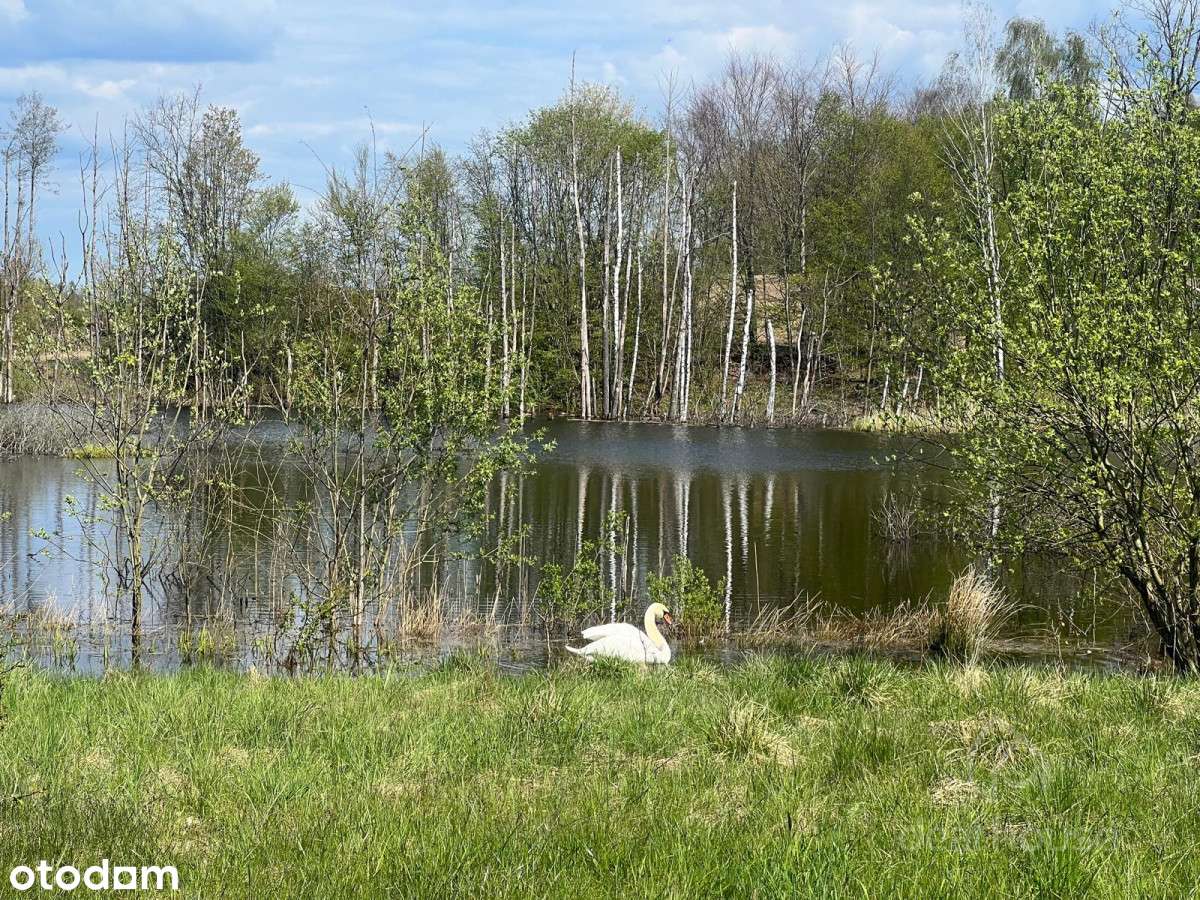 Piękne tereny, duży potencjał, Siedlisko:)-9