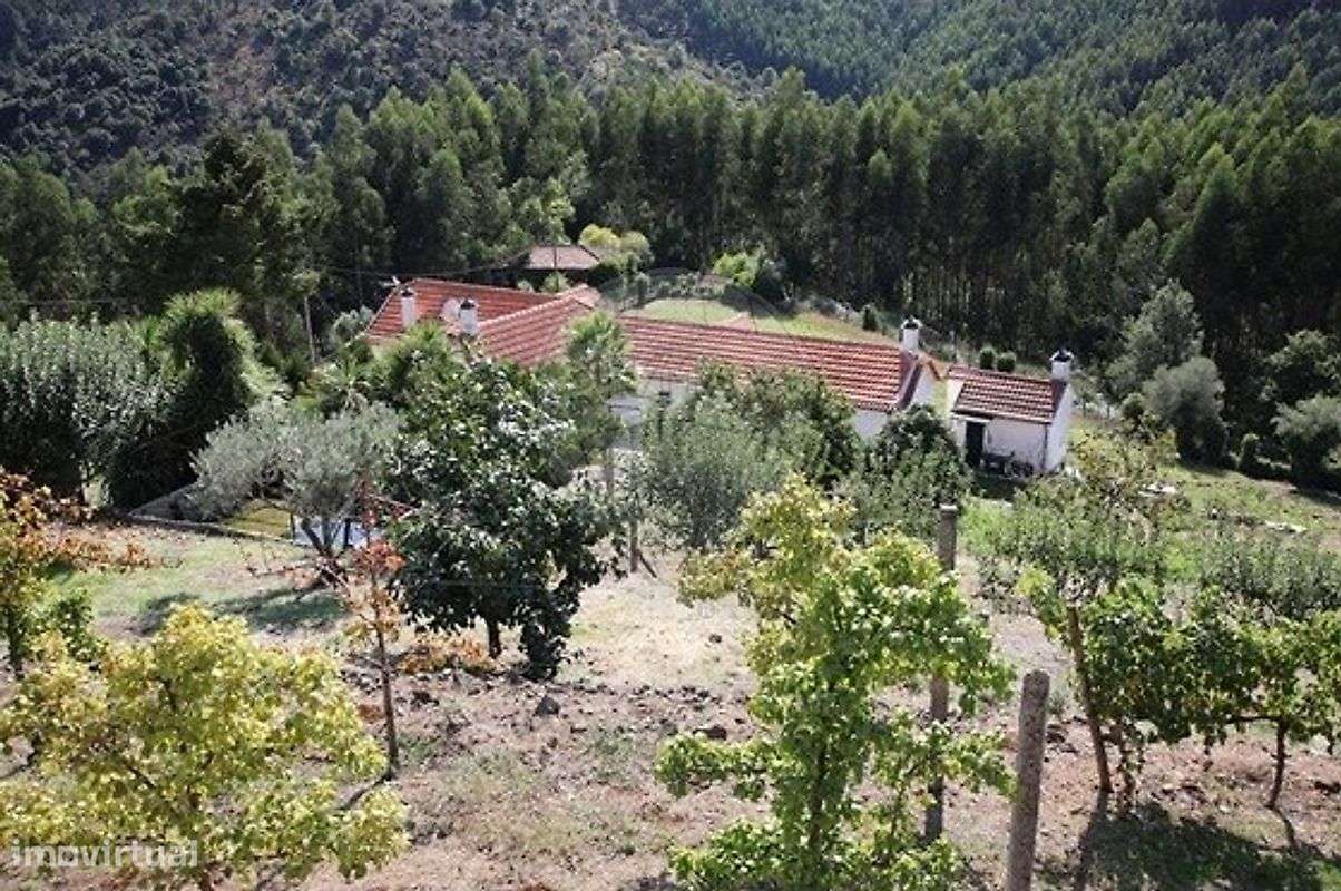 Quinta  para arrendamento - Grande imagem: 4/47