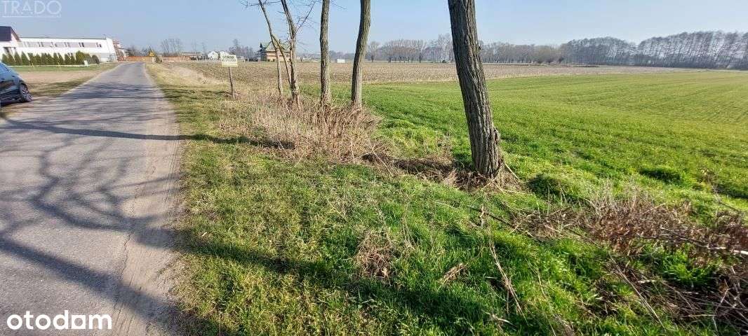 Duża działka Słupca, Marcewek - Pełny obrazek: 5/6