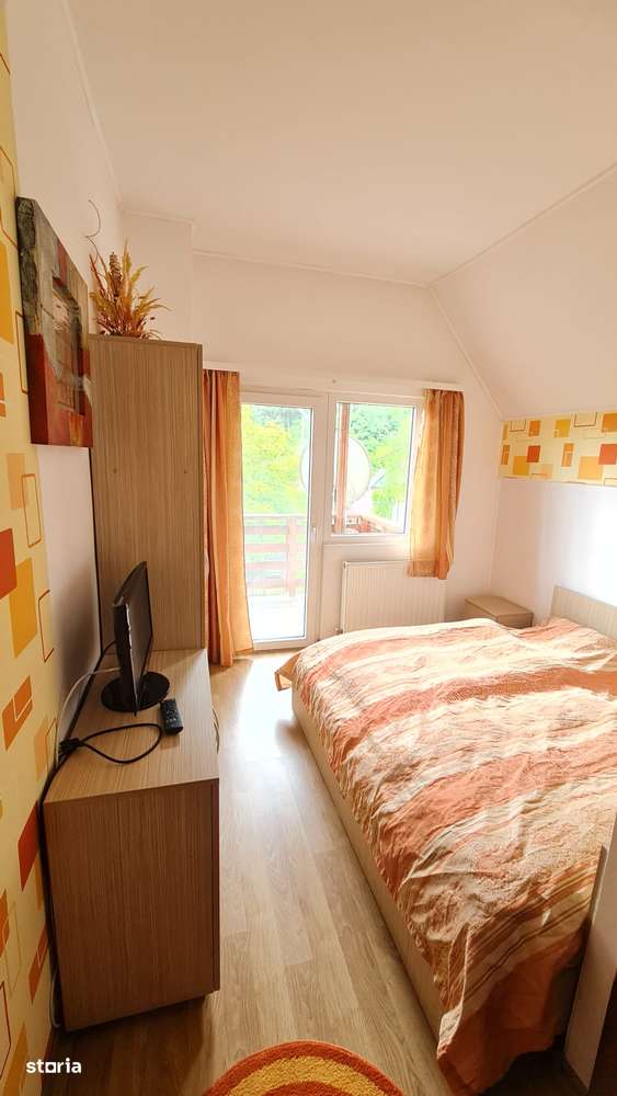 Vand vila situata pe Valea Lotrioarei-12